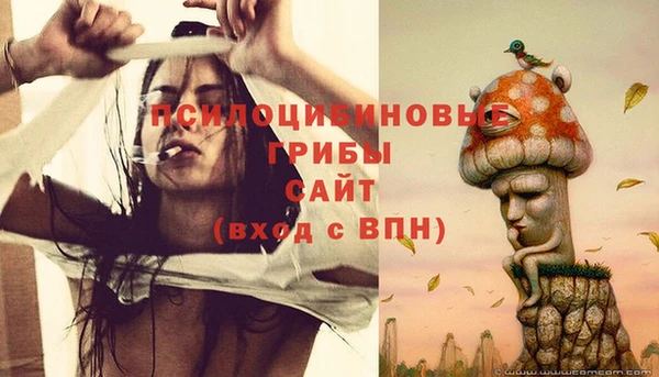 a pvp Алексеевка