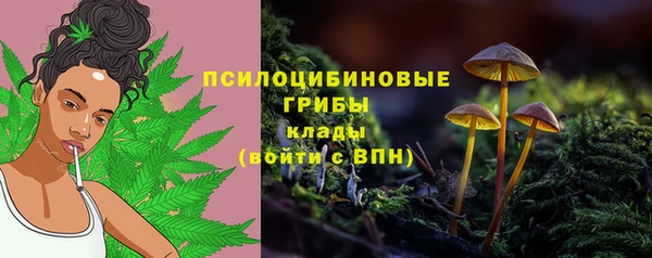 кокс Абдулино
